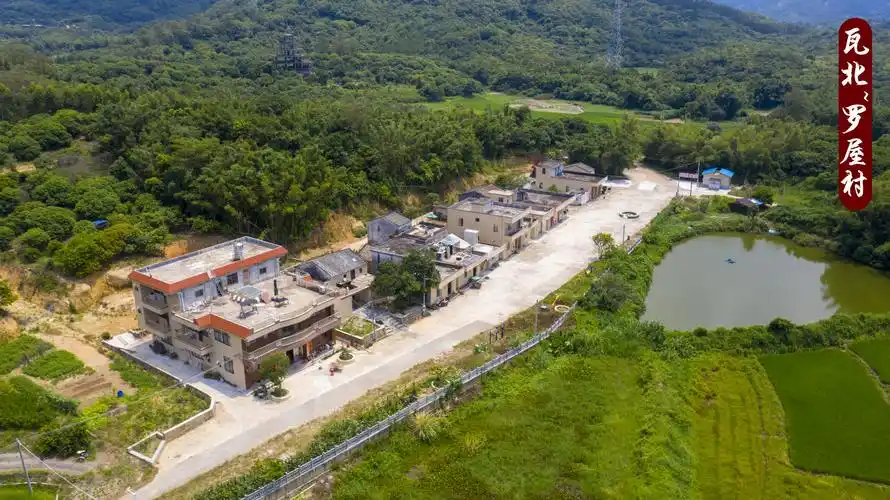 广州知青下乡50周年聚会暨参观瓦北村新农村建设概况