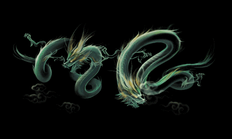 世界上真的有龙