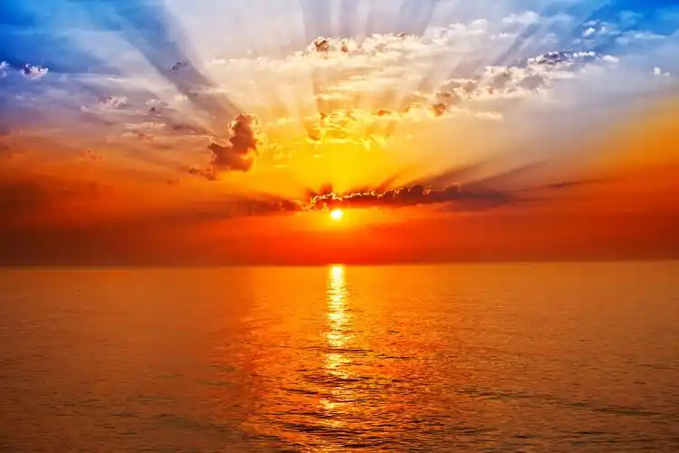 太阳升起大雾清晨绿色草原草地草坪蓝天白云日出下的玉米地日出太阳