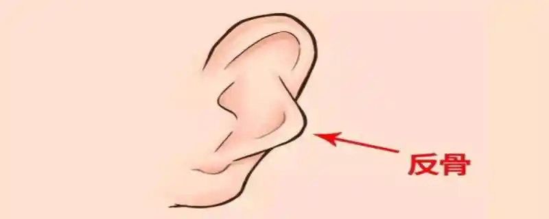 反骨是什么意思  反骨耳的人怎么样