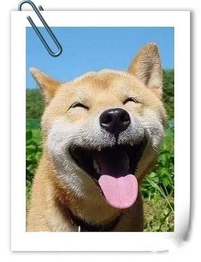 彩票大赢家手机网址