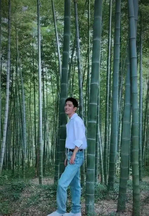 肖战惊喜营业,发视频遭粉丝"嫌弃",工作室用竹林大片花絮挽救