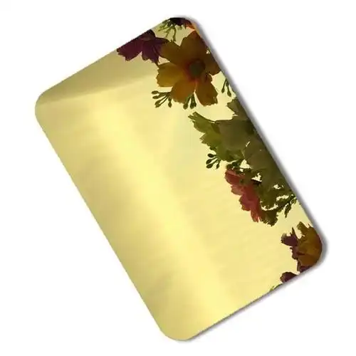 彩色不锈钢/金-ti/金色钛/钛板/床单