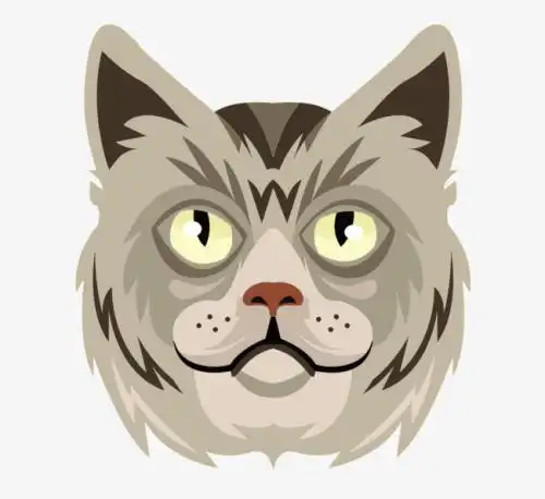 唯美动物头像图片大全大图_动物动漫头像高清图片大全可爱图片大全