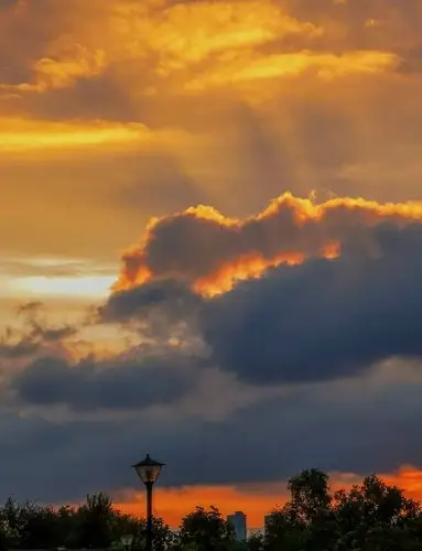 松花江上醉晚霞,何须惆怅近黄昏.(回顾2019年)