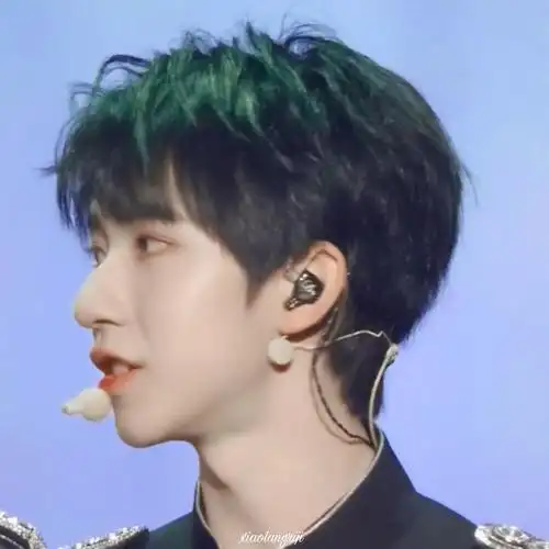 贺峻霖爱豆头像dt小狼日記赞评论更多