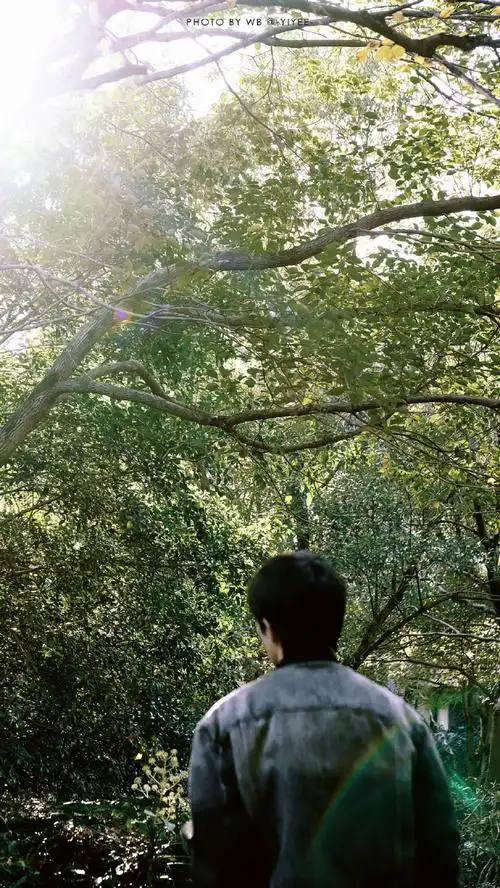 易烊千玺代言特仑苏##易烊千玺春日大片