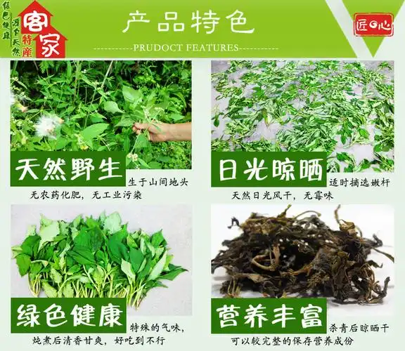 苦菜干野生农家自制干货250g福建宁化苦斋婆苦抓苦益菜干茶土特产