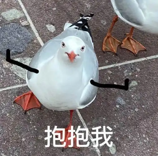 表情包无水印##搞笑表情包