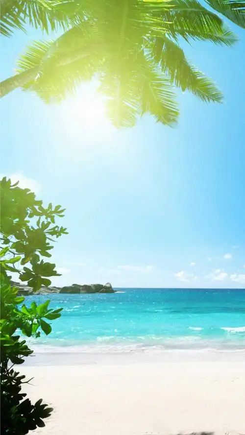 清晰海滩h5背景
