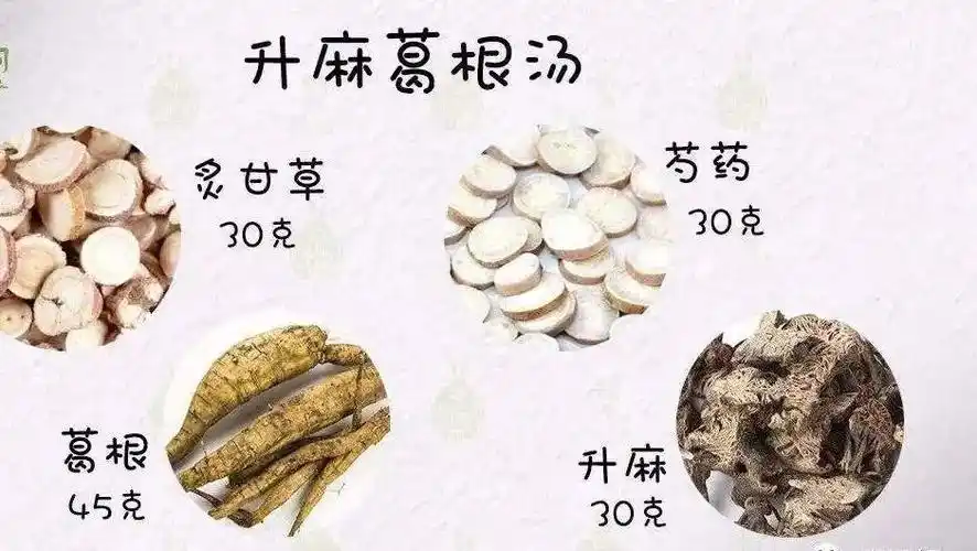 中医名方||升麻葛根汤