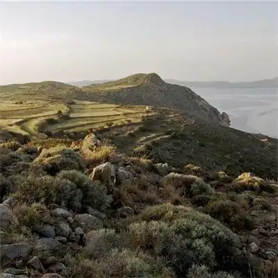 特别好看也很真实的风景头像 绿色森系微信头像比较合适的风景_风景