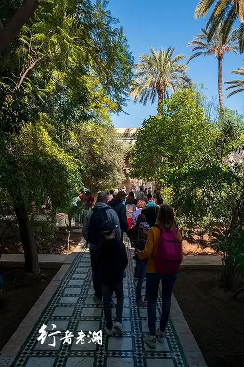 跟着我们走,寻觅摩洛哥city walk的露天市场和艺术飞地|非洲|北非|巴