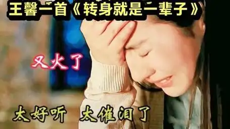 王馨一首《转身就是一辈子》旋律优美动听,入心醉人,超级好听!