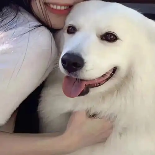 男朋友不是人系列2情头