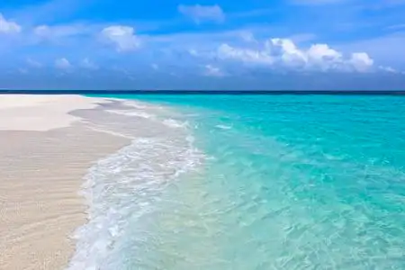 海洋和沙滩图片