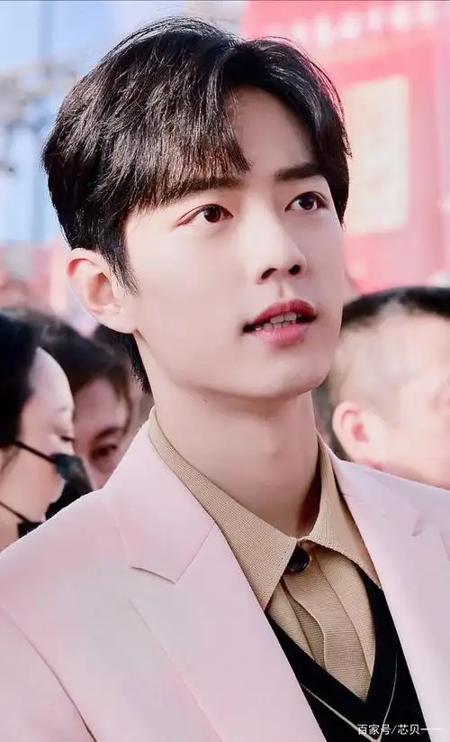 肖战粉色西装照片,绅士儒雅温柔大方的美少年