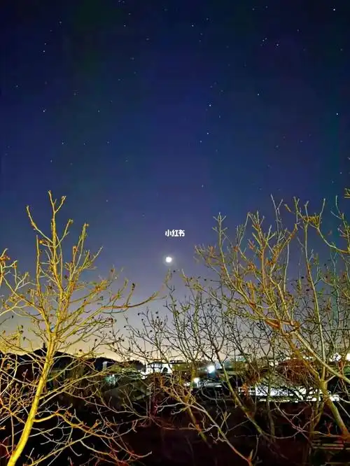 安安静静的金海湖安安静静的内心明明亮亮的星空#星空  #北京周末去