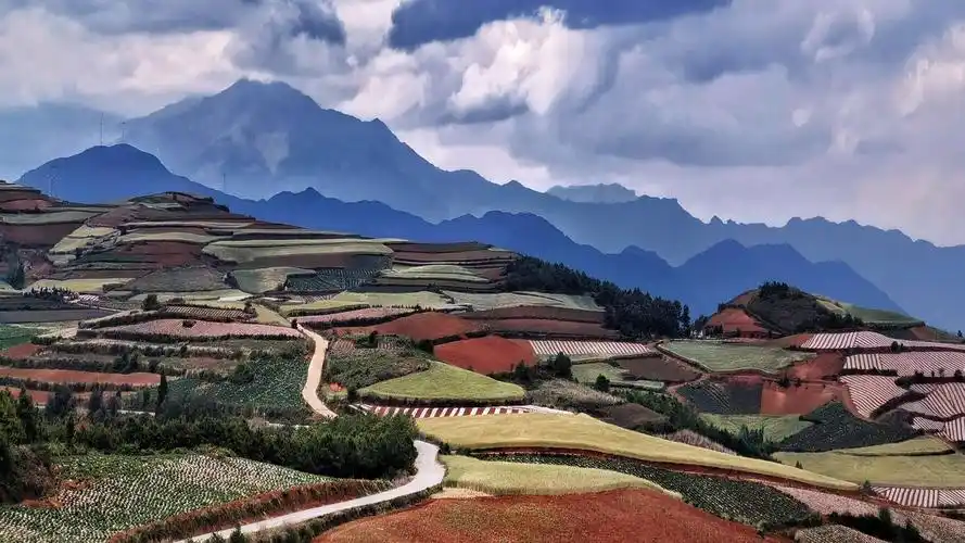 华为p40pro红土地姿色