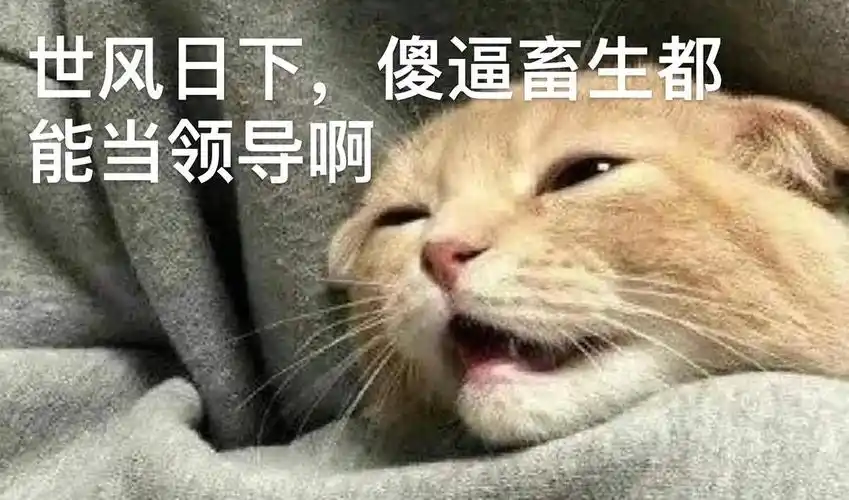 这哪家公司畜生"领导"?(性骚扰者已被拘留 罚款.