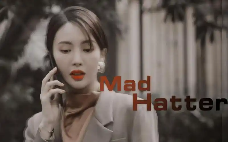 金晨】姬圈得有这个女人的一席之地 / 眼神开车的人间alpha / 沈思怡