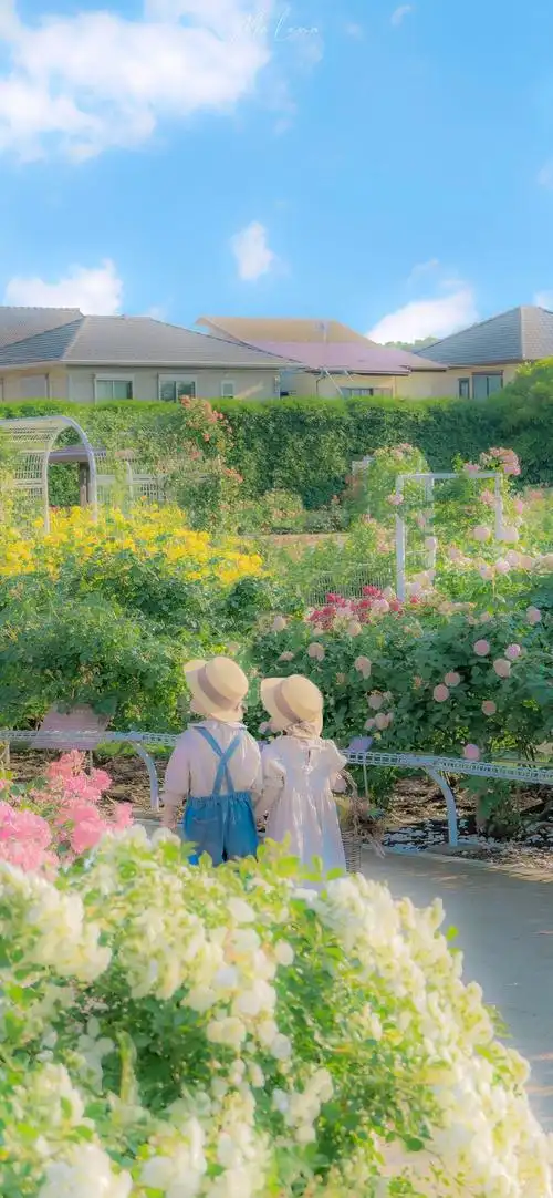 2021最潮手机壁纸最流行好看的女生iphone锁屏壁纸高清