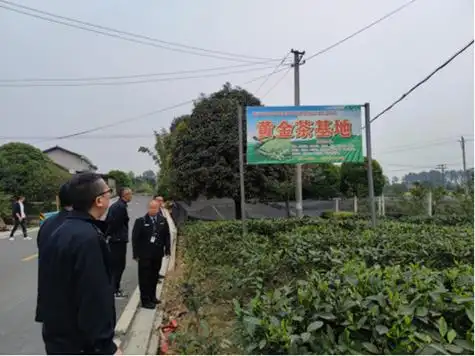 春茶上市忙,执法来护航 - 雅安市农业农村局