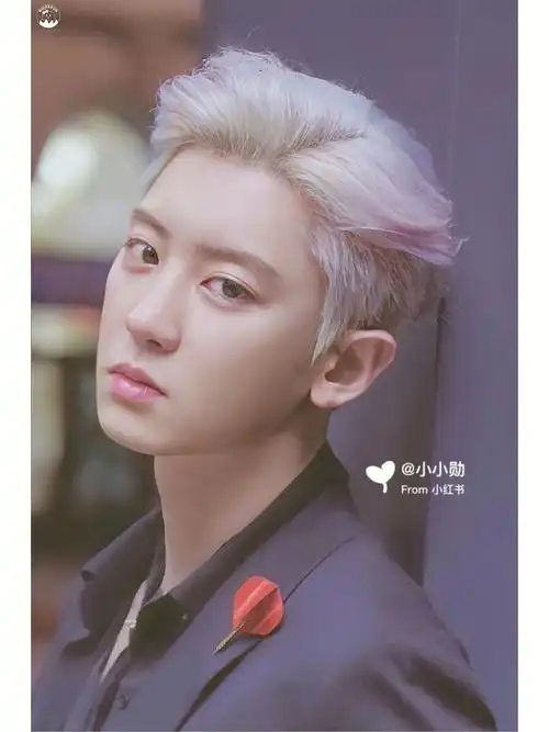 exo朴灿烈whatalife高清扫图壁纸