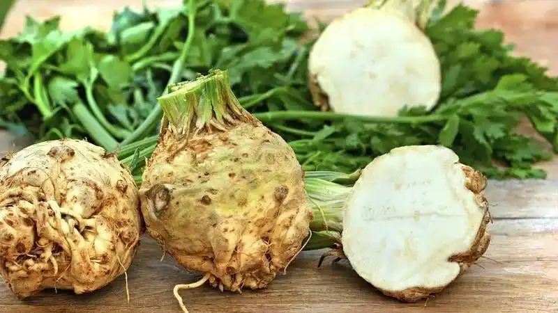 盘点在国内不常见的英国奇葩蔬菜