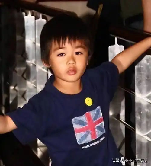 那英近况,她儿女双全,儿子皮肤黝黑像前夫,女儿可爱像现任丈夫_高峰