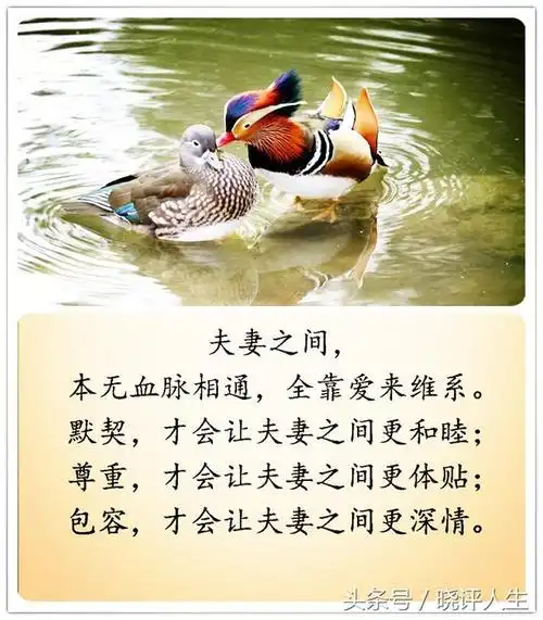 夫是妻的靠山,妻是夫的财富,请好好珍惜这辈子来之不易的缘份!