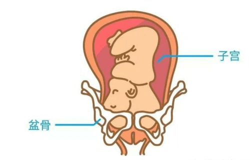 准妈妈入盆后,会出现以下3点征兆,不知道你是否入盆了吗?