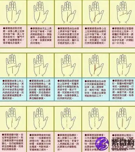 看手相算命有几个小孩