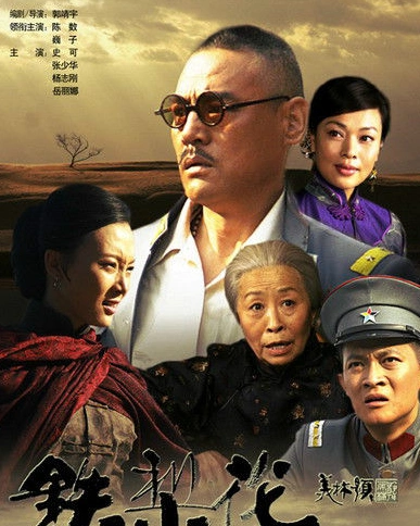 图巍子主演的电视剧介绍铁梨花上演宅门的传奇与恩怨