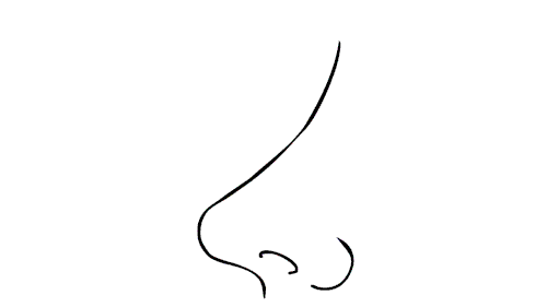 鼻子怎么画鼻子怎么画简单又漂亮