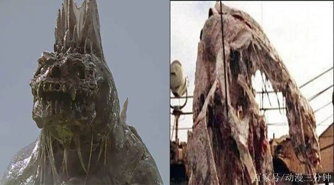 迪迦奥特曼中的"屎兽"西利赞原型,它在现实中真的存在!