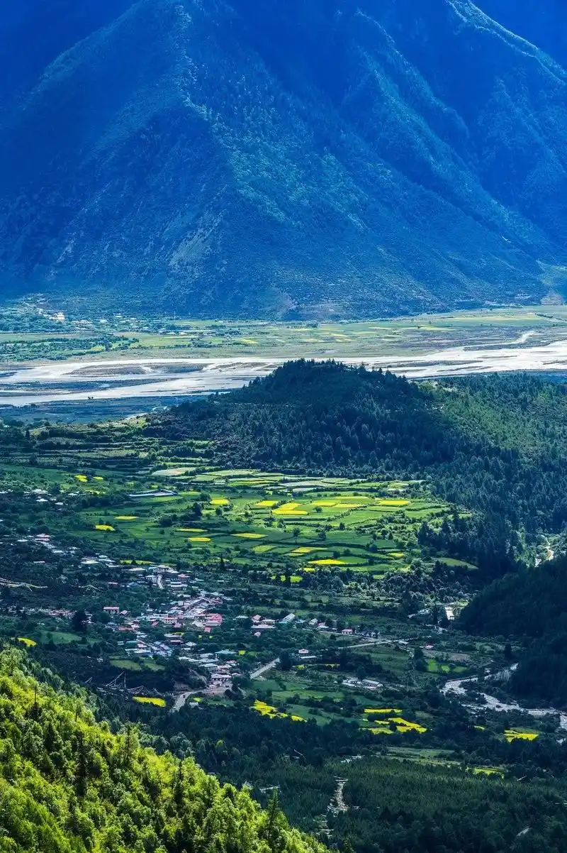 万物皆可云# 有机会一定要来鲁朗林海过一个夏天这里雪山林立,沟内