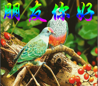 朋友你好 - 聚缘仙阁 - 聚缘仙阁