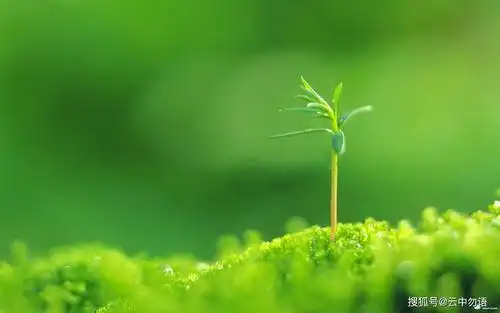 原创盛夏7月之初,寅虎午马未羊三属相夏日清凉好运眷顾,生活甜蜜事业