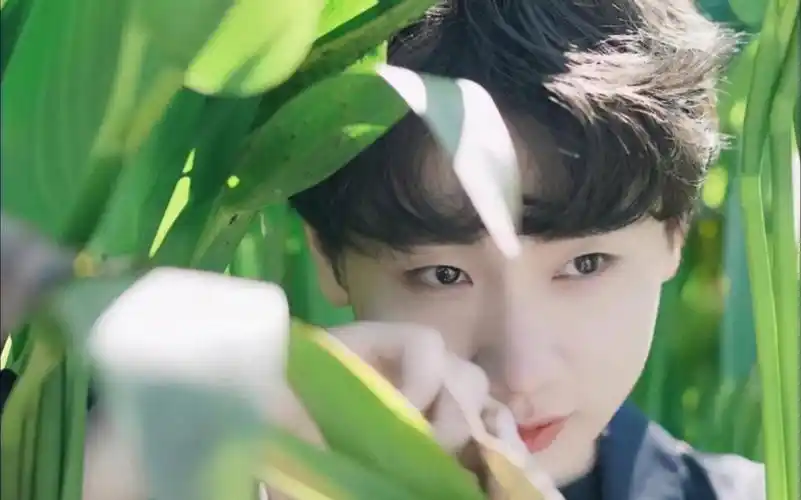 汪苏泷|硬汉对自己的帅气(可爱)有着清晰的认知