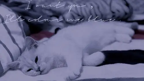 油画壁纸/手机壁纸背景图/动漫壁纸高清壁纸/摄影/简约/可爱/少女心