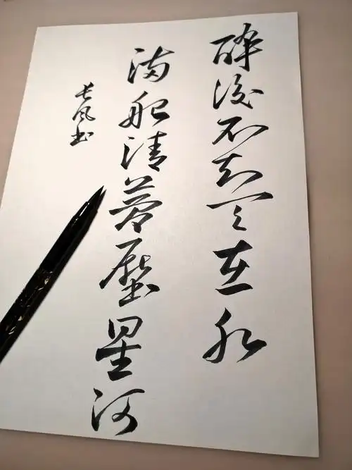 醉后不知天在水 满船清梦压星河