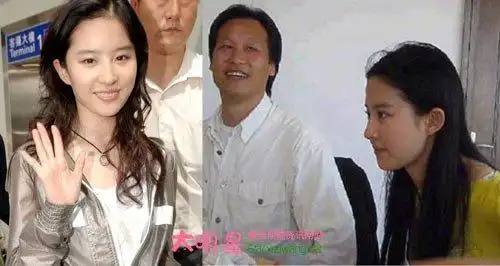 陈金飞个人资料 陈金飞和刘亦菲什么关系