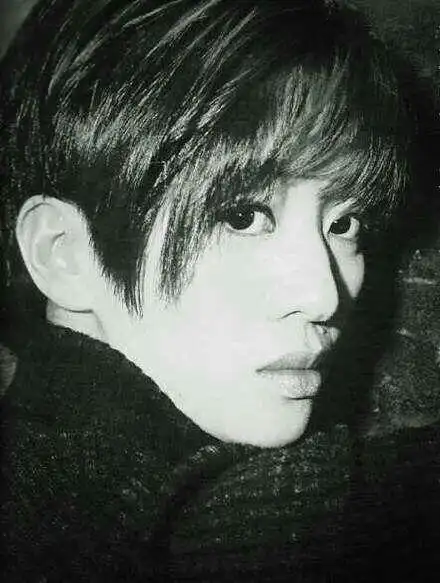 这张照片是梅艳芳吗?