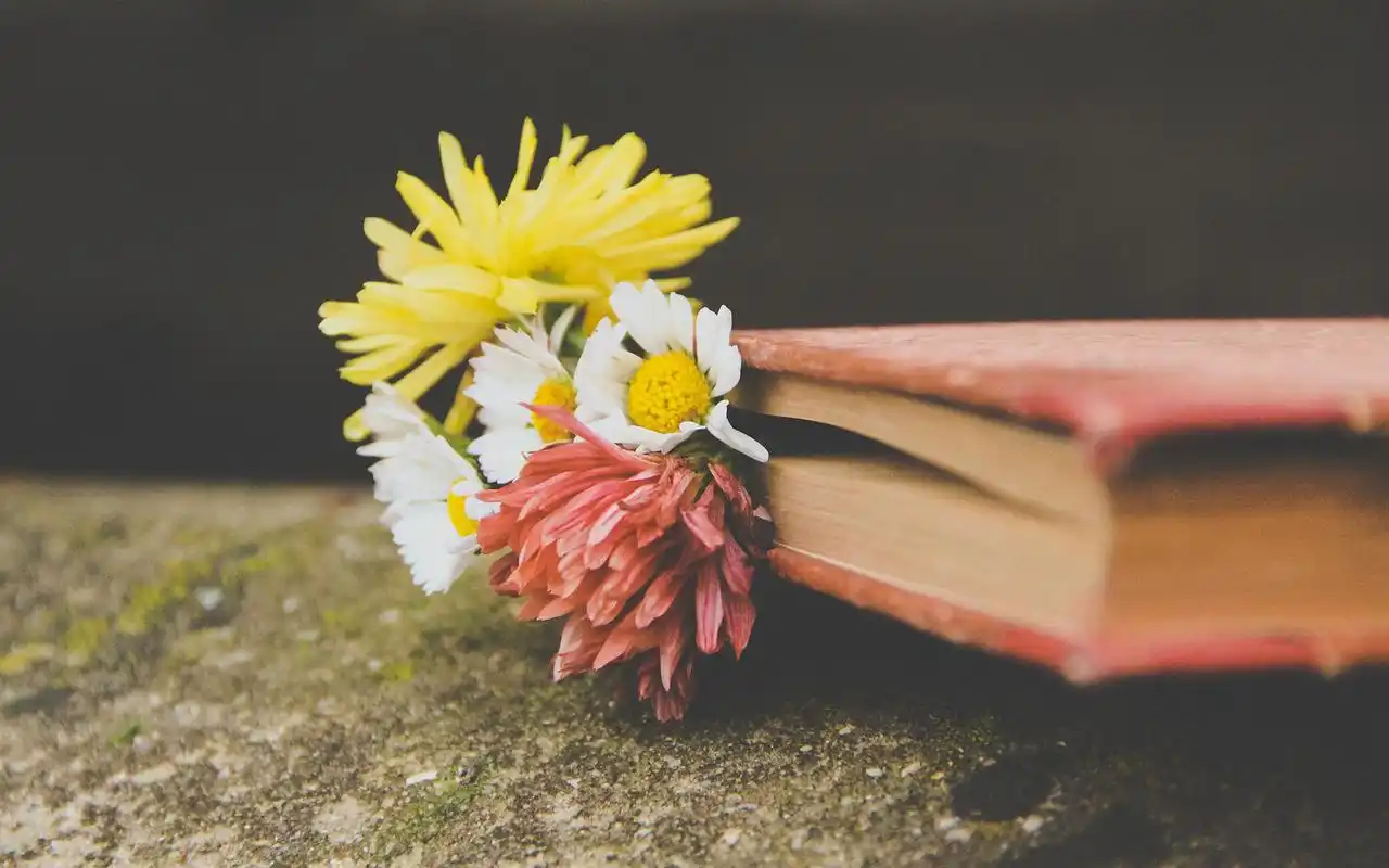 精选唯美意境治愈系绿色护眼小清新花朵桌面壁纸(三)