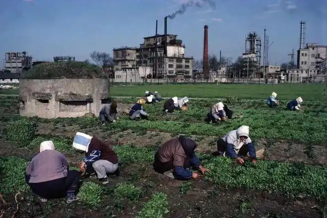 一组7080年代中国彩色老照片看完让人热泪盈眶