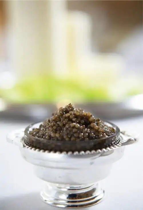 并非所有鲟鱼卵都可制成鱼子酱,世界范围内共有超过20种的不同700