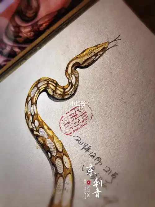 蛇手环纹身手稿_纹身_美妆_彩妆
