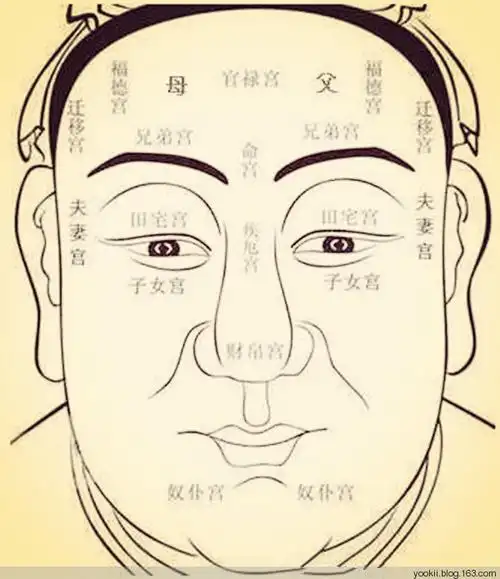 在hr管理中如何应用面相学 - 山水清澈 - 山水清澈