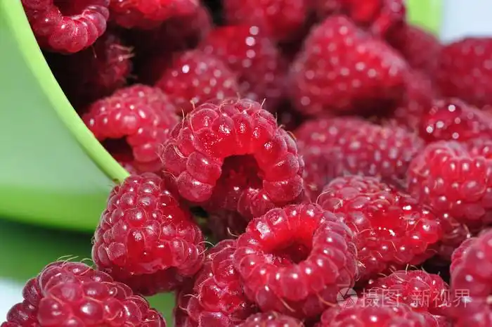 悬钩子树覆盆子木莓树呸声嘘声色彩紫红色